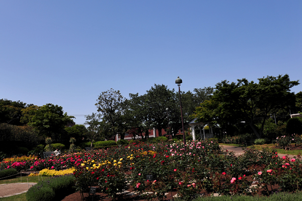 130508 1 DSC_9738.jpg